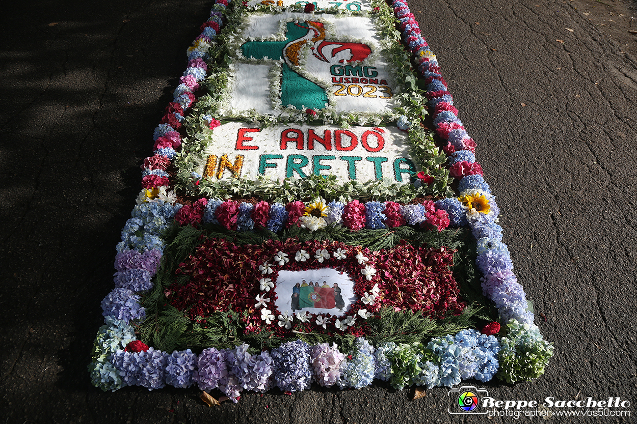 VBS_9579 - Infiorata di Villanova d'Asti 2023.jpg
